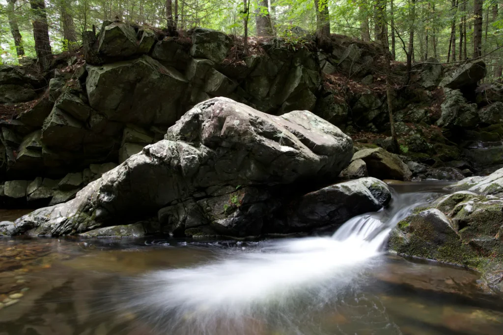 Water cascading over rocks in a lush, green forest stream.