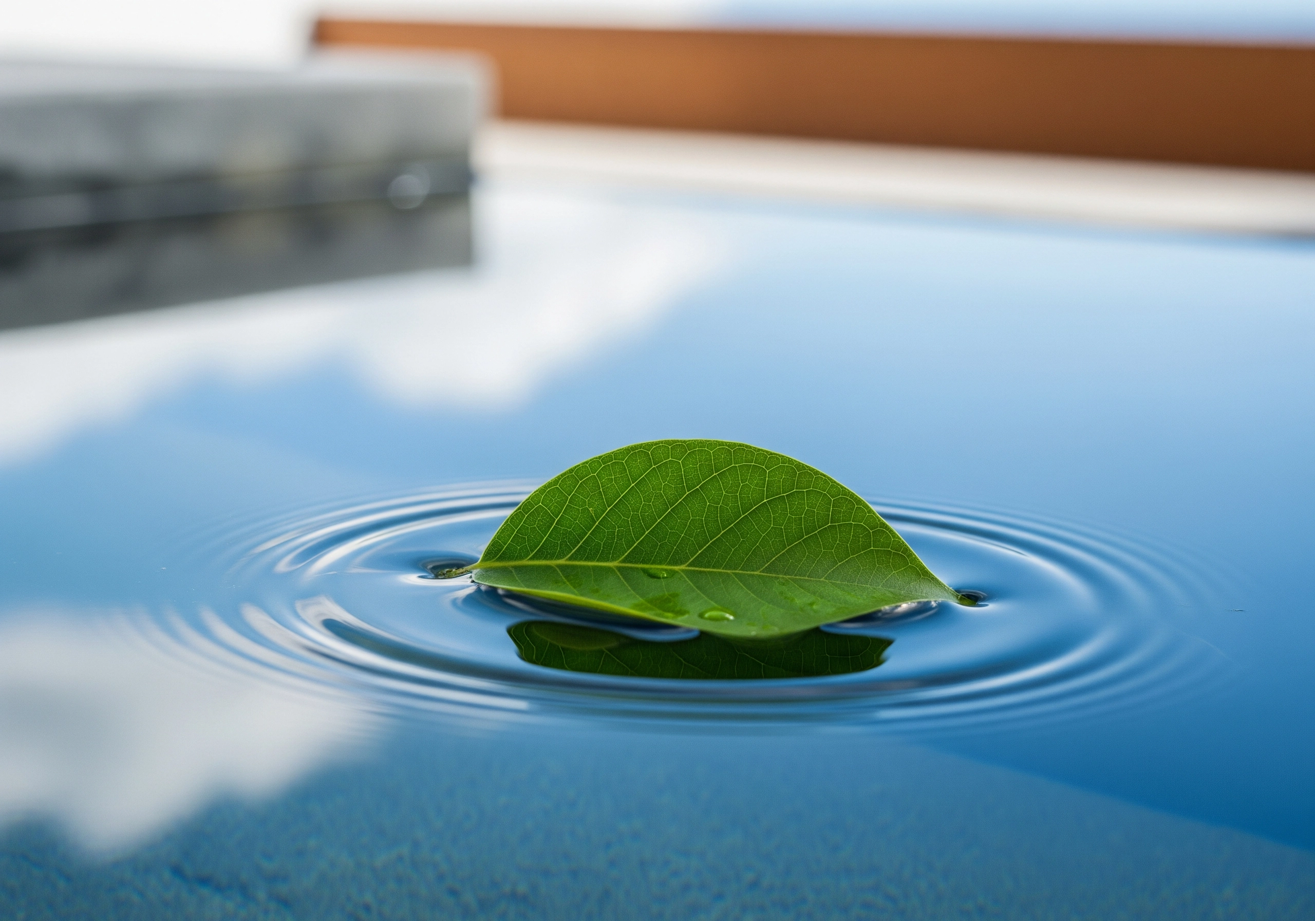 Close-up of a green leaf floating on clear water with concentric ripples.